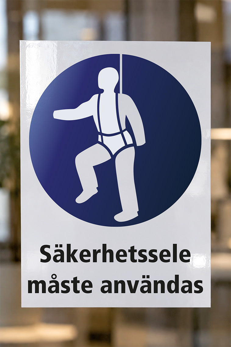 Påbudsdekal på glas, Säkerhetssele