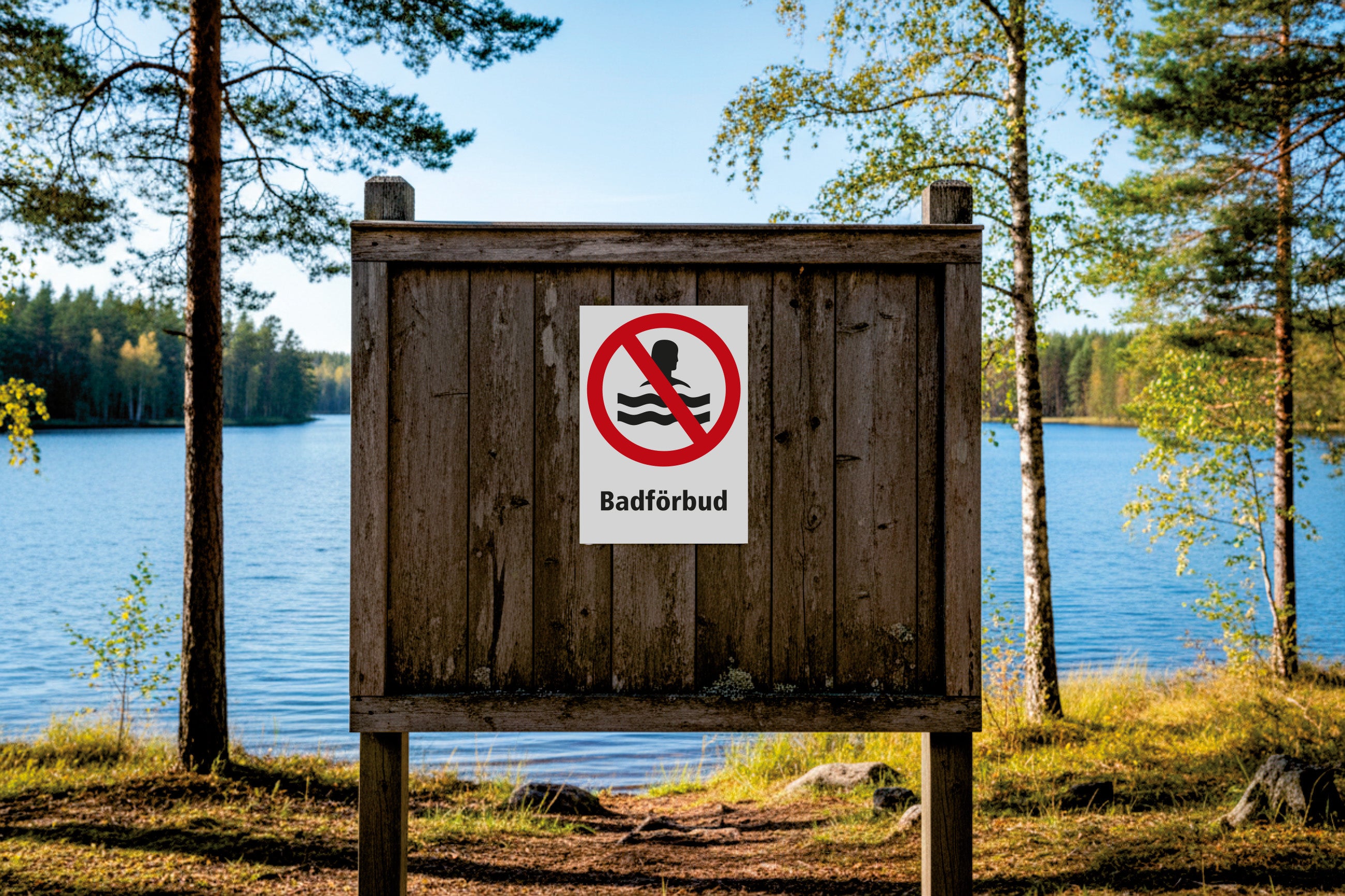 Badförbud dekal
