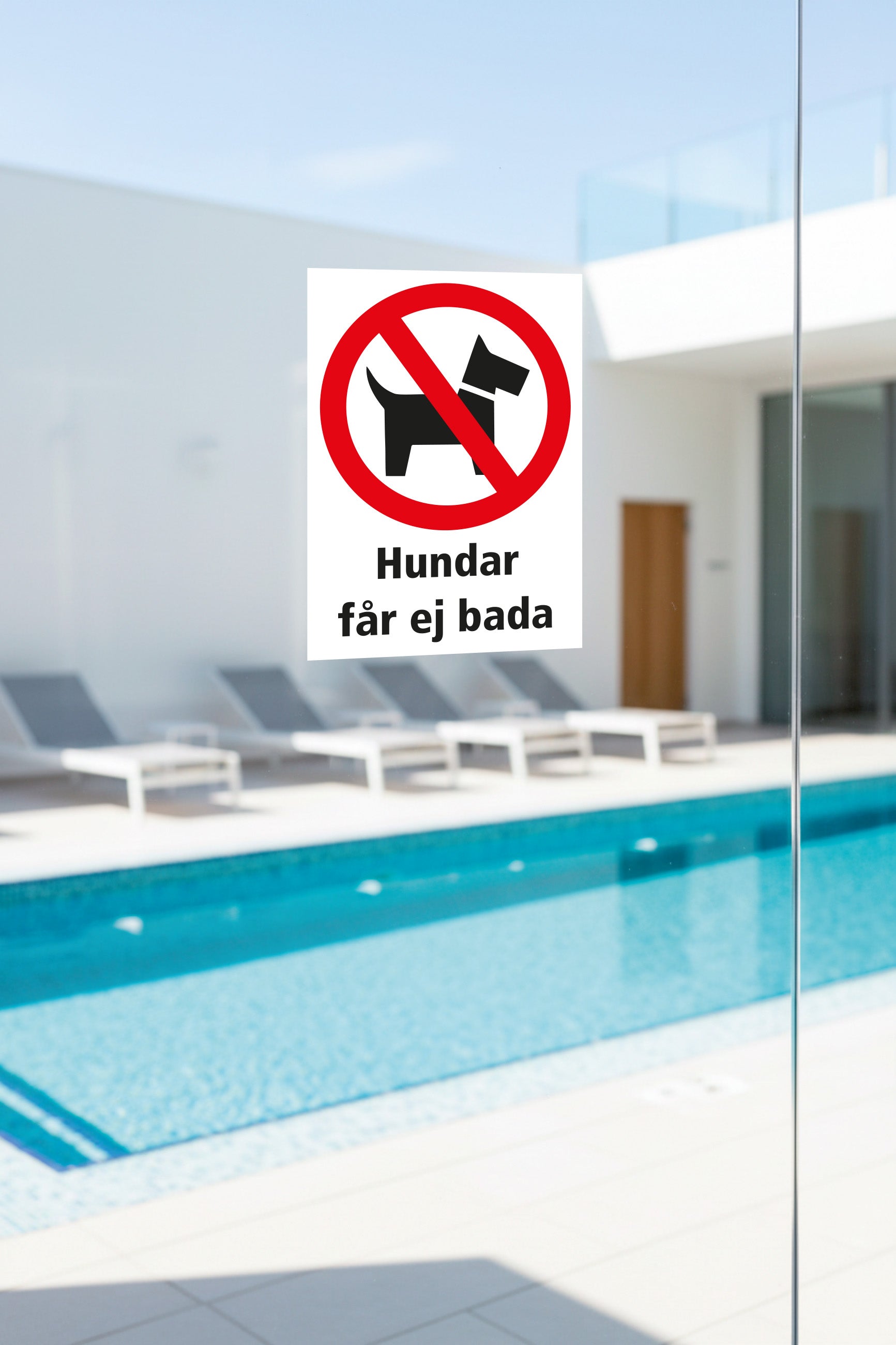 Dekal hundar får ej bada